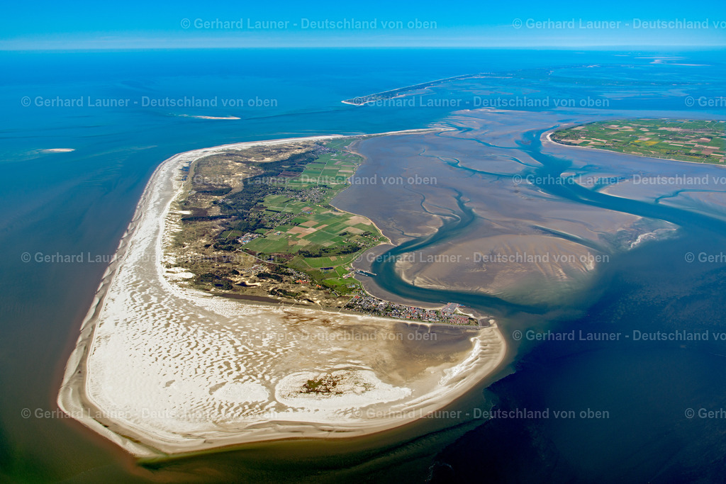3801694 | Amrum, Nationalpark Schleswig-Holsteinisches Wattenmeer