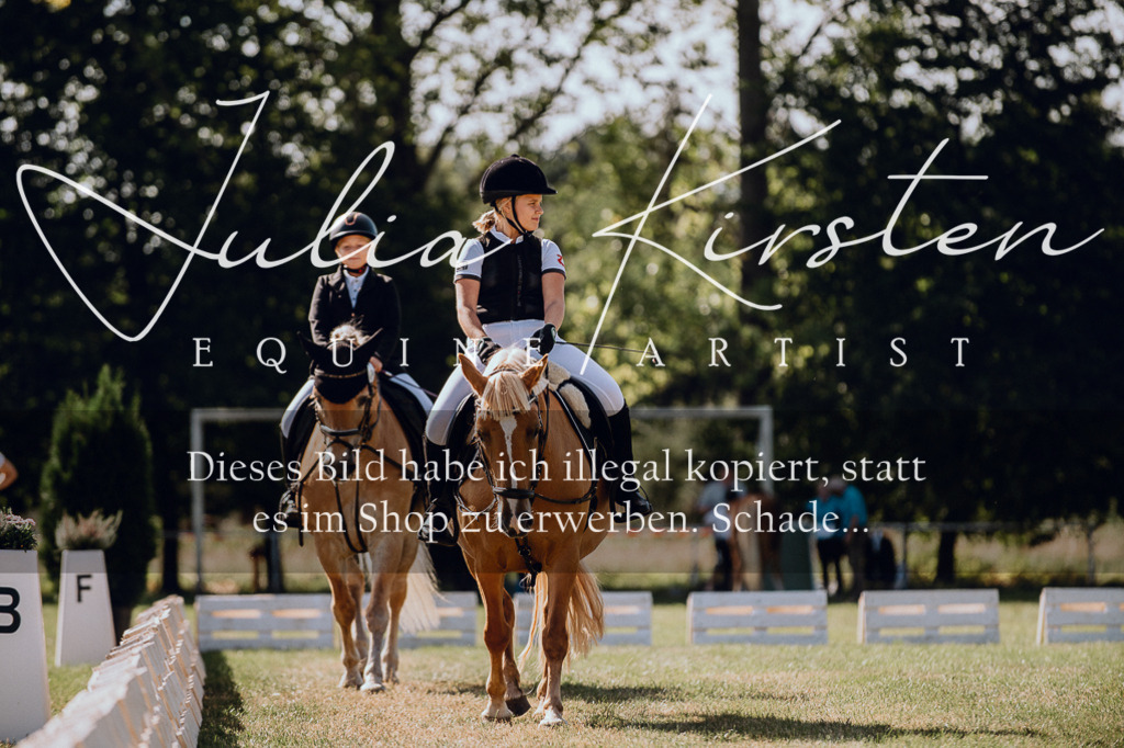 DSC_7121 | Pferde- und Turnierfotografie in Westsachsen. Pferdeportraits, Auftragszeichnungen und intuitive Kunst.