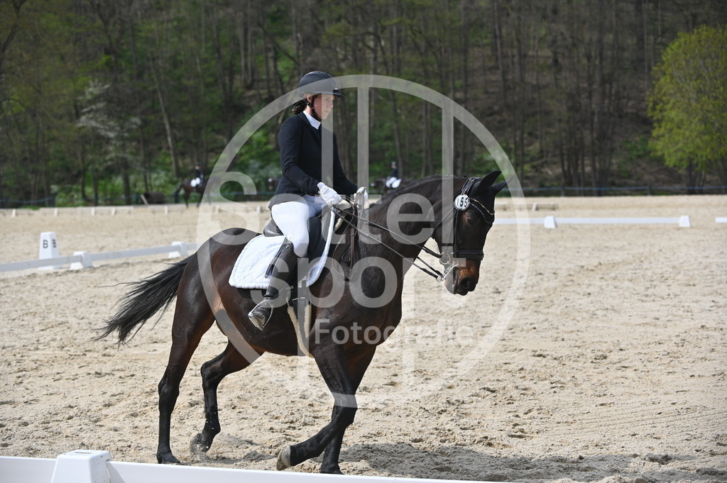 DSC_4254 | sattelsport - Realisiert mit Pictrs.com