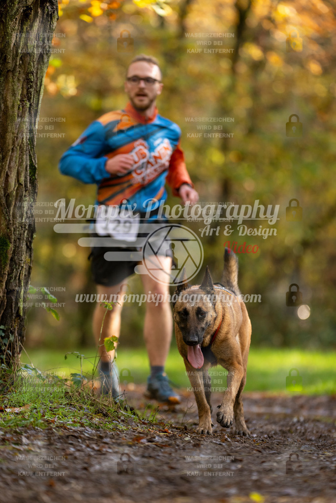 MompixPhotography_Bischwiller23_Canicross-115 | PayLife