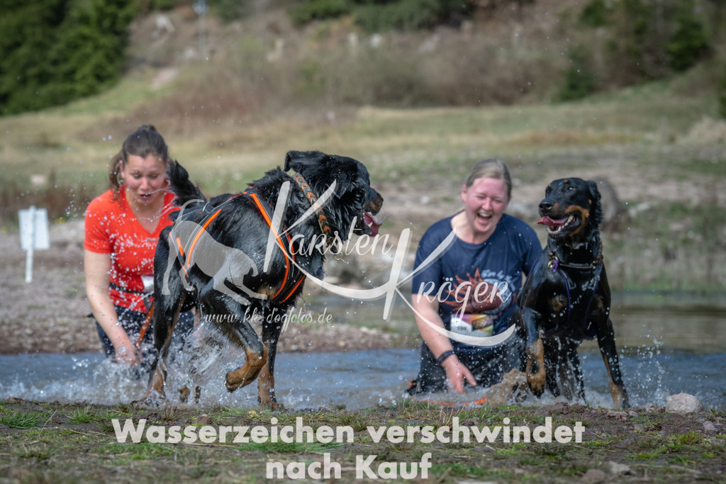 1114_ZZ93431 | kk-dogfotos