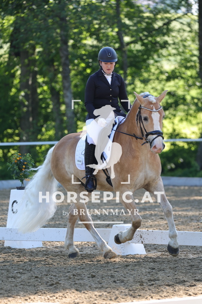 0P6A9364 | Willkommen bei Brunnmayr - Design & Fotografie – Ihrem Spezialisten für Reitturniere und Pferdeveranstaltungen in Oberösterreich, Salzburg und Bayern! Seit über 17 Jahren sind wir leidenschaftlich dabei.