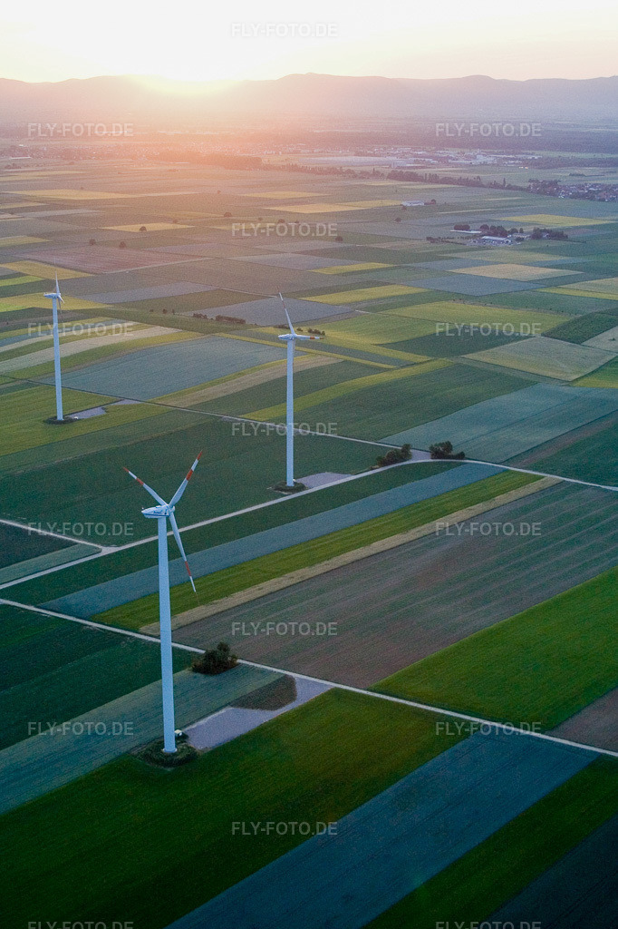 Luftbild: Windkraftanlagen Richtung Bellheim in Rülzheim im Bundesland Rheinland-Pfalz in Deutschland. Foto: IMG_2964.jpg vom 23.06.2006 durch Werner Riehm/FLY-FOTO.de