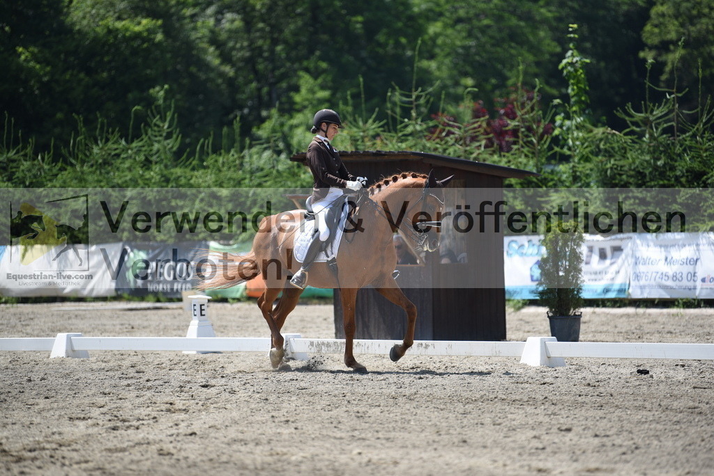 DSC_1409 | equestrian-live-com