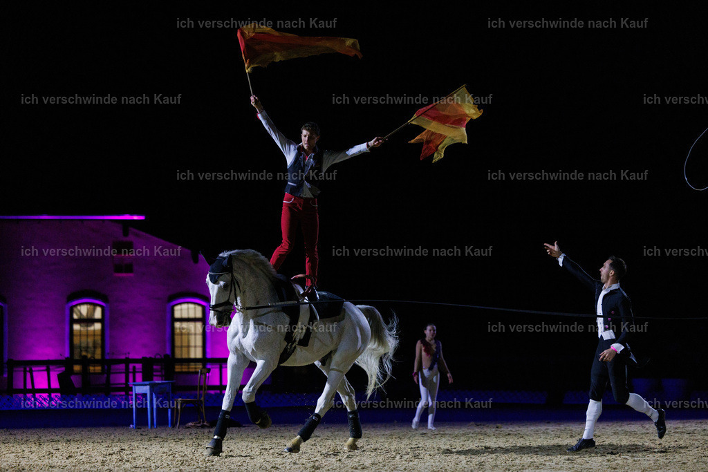 FHClassics-241 | working equitationturnier fotograf videograf stoibphotography marixx film working equitation deutschland reitsport turnierfotografie eventfotografie equestrian events