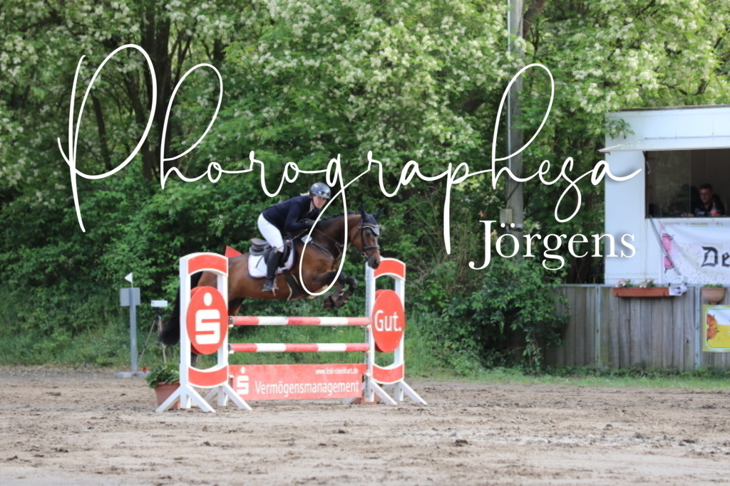 IMG_9070 | photographesa-joergens - Realisiert mit Pictrs.com