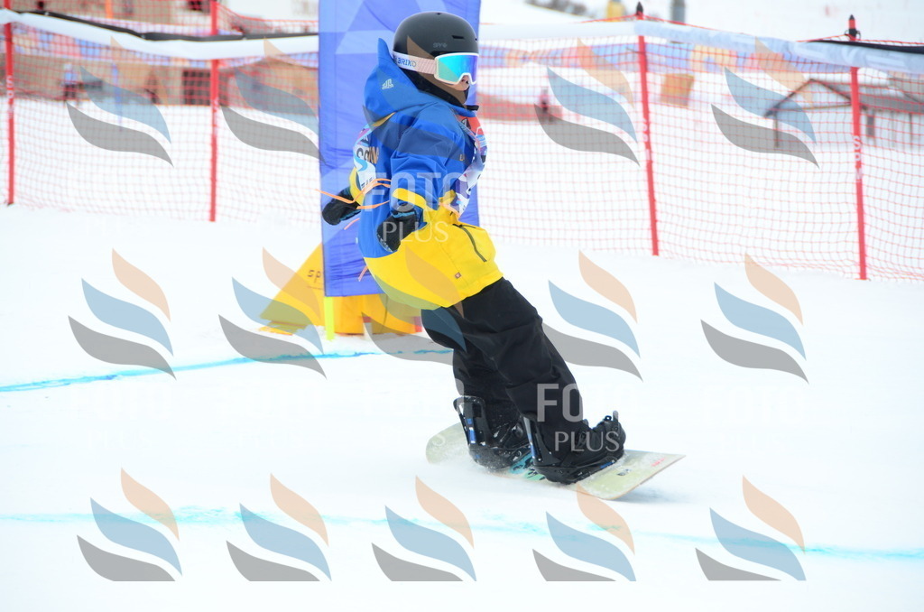 DSC_2373 | holidayphoto