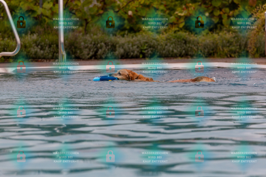 _HP_6083_1000o | HetPix, HetPix Fotodesign, Fotografie, Fotodesign, Webshop, Sportfotografie, Portraitfotografie, Onlineshop, Sportfotografie, Polch, Motorsportfotografie, Eventfotografie