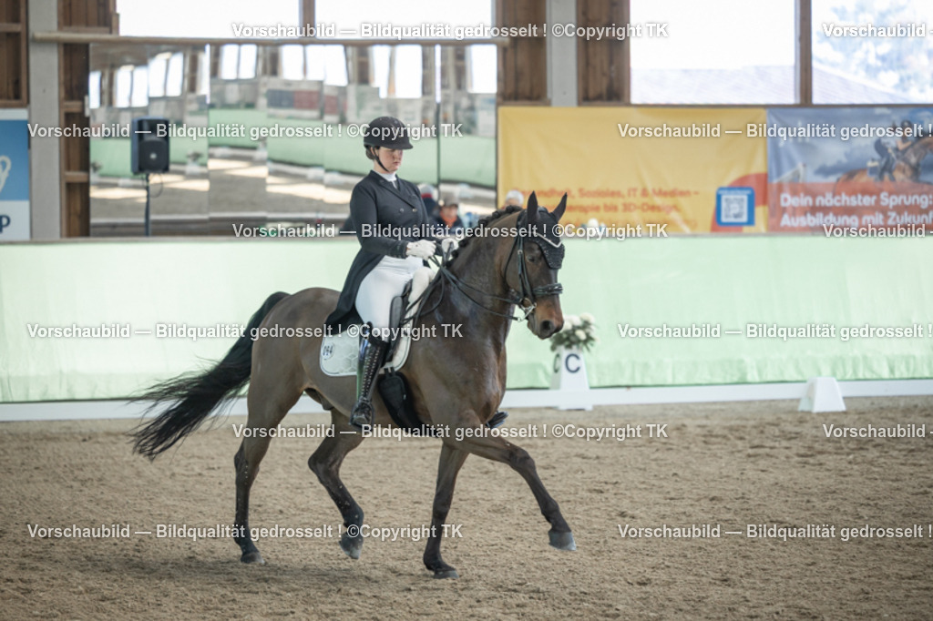 _D5A9872 | Emotionale Pferde- & People-Fotografie rund um Heidelberg, Leimen & Umgebung. Natürliche Fotos von Pferd, Mensch & Familie. Jetzt Termin sichern!