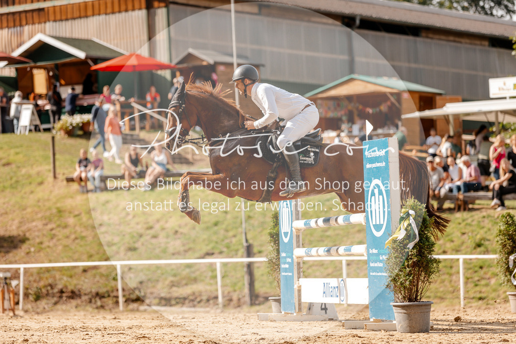 3I6A4622 | Stimmungsvolle Portraits und Reitsportfotografie im Ruhrgebiet und im Münsterland.

Pferdefotografie, Hundefotografie, Tierfotografie, Reportagen, Portraits von Tier und Mensch, Turnierfotografie in Bochum, Recklinghausen, Marl, Haltern am See, Dülmen.. - Realisiert mit Pictrs.com