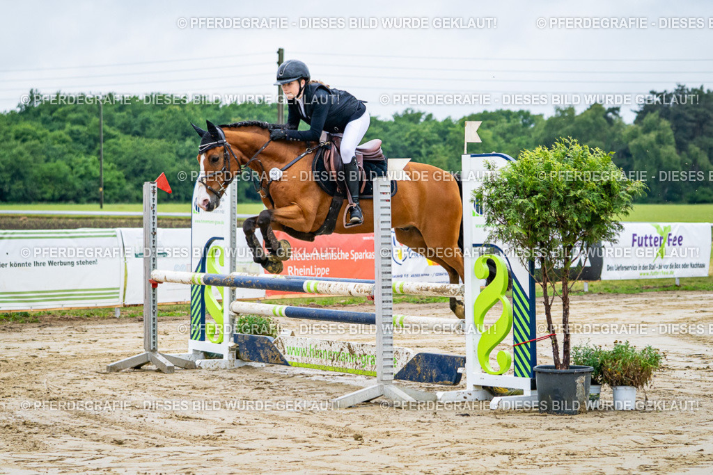 DSC01653 | Pferdegrafie