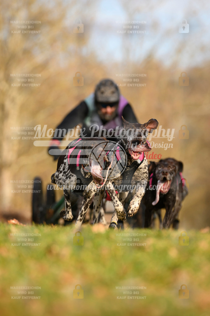 MompixPhotography_10Schwabentrail2026_SO_Kart-4 | PayLife