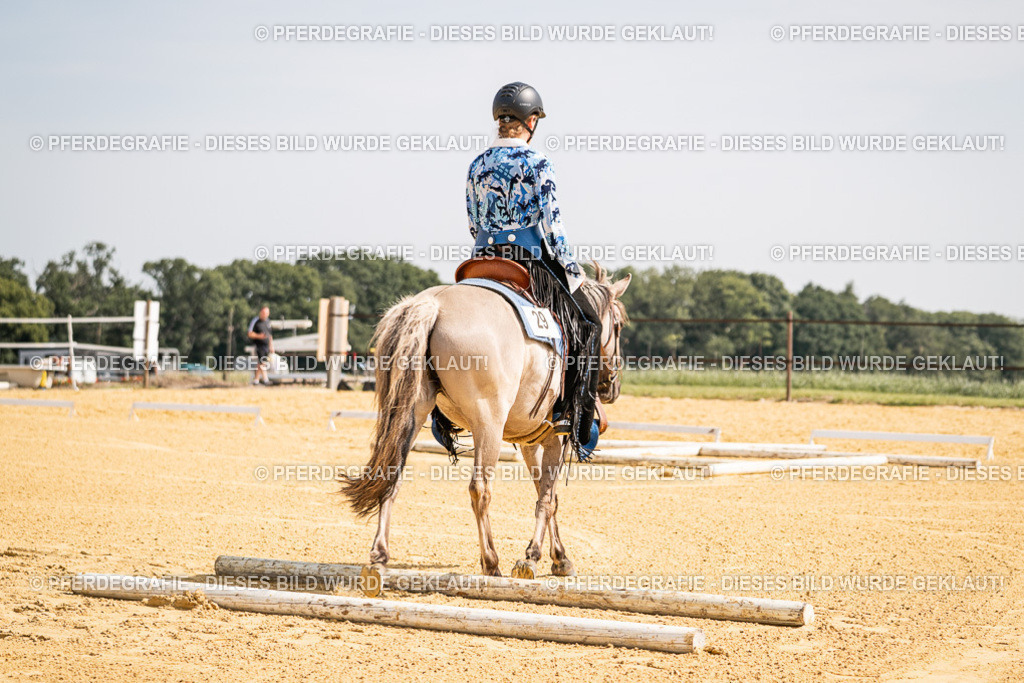 DSC09733 | Pferdegrafie