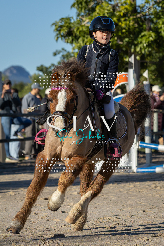 IMG_7716 | s-jay-photography - Realisiert mit Pictrs.com