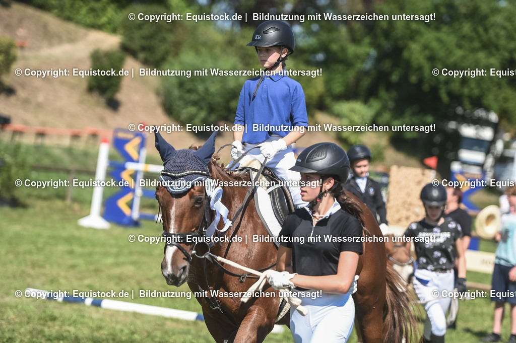 20230910_11-3_Führzügel-WB_0151 | Foto: Thomas Hartig