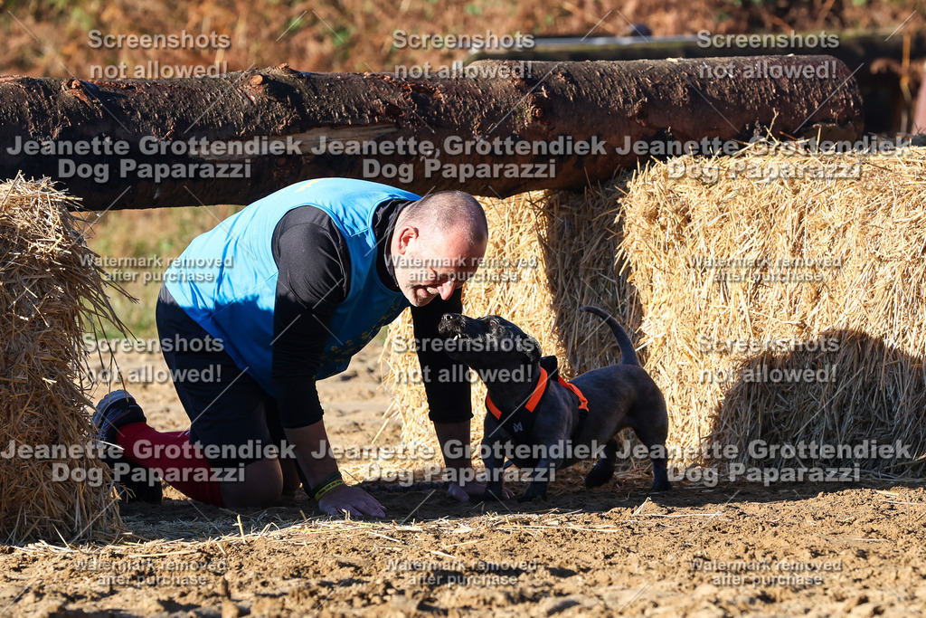 Dog Paparazzi - Strongdog 10-25-1349 | Dog Paparazzi Jeanette Grottendiek Fotografie & Videografie - Realisiert mit Pictrs.com