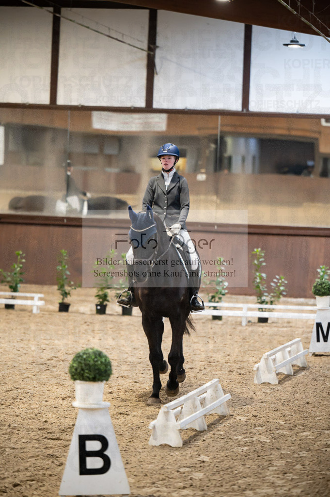 Hallenreittunier Voxtrup 2023 | Entdecke hochwertige Reitturnierfotos von Foto Oger. Professionell, emotional und authentisch – jetzt Lieblingsmomente im Shop bestellen.Deutschlandweite Turnierfotografie. - Realisiert mit Pictrs.com