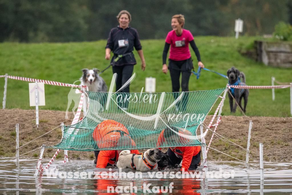 0812_ZZ90247 | kk-dogfotos