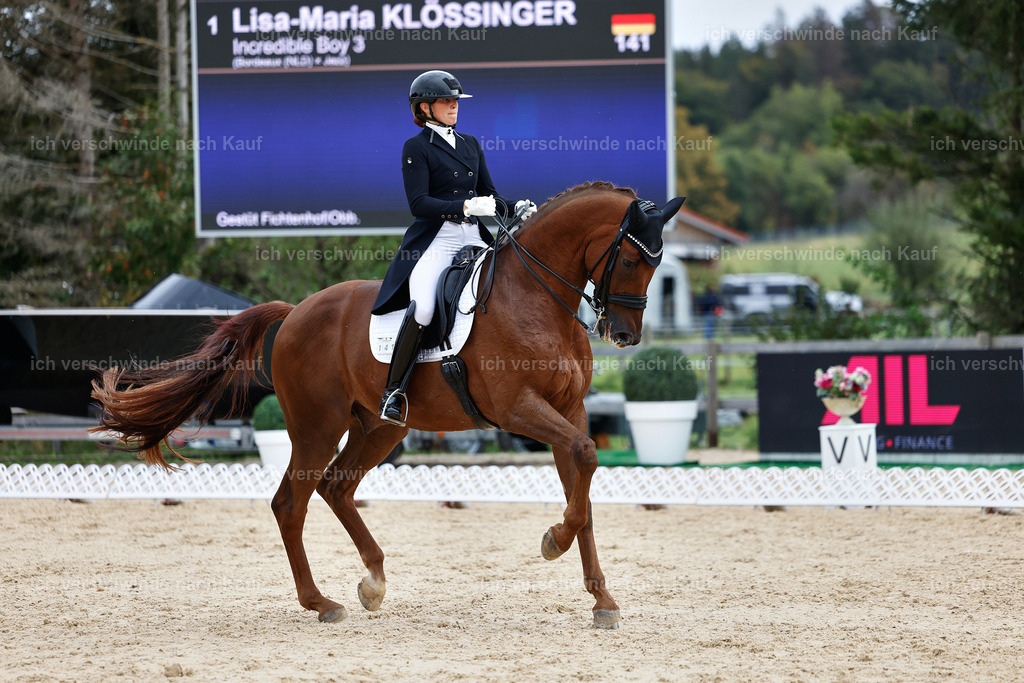 11-141-Dressur S___-Marixx-1853 | working equitationturnier fotograf videograf stoibphotography marixx film working equitation deutschland reitsport turnierfotografie eventfotografie equestrian events