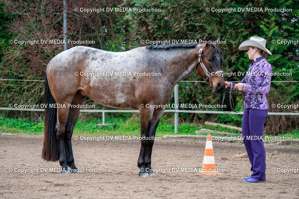 BA300194 | dv-media-shop - Realisiert mit Pictrs.com