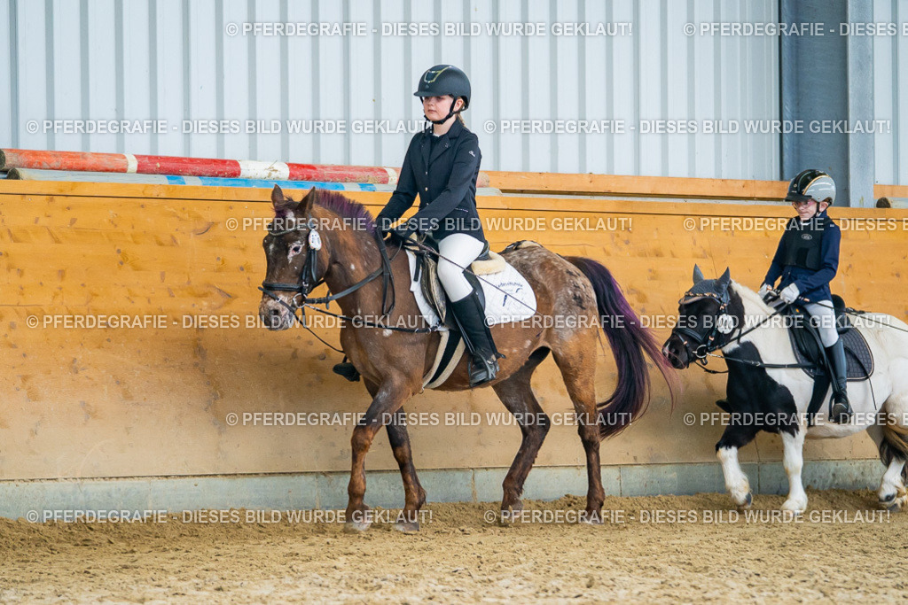 DSC01301 | Pferdegrafie