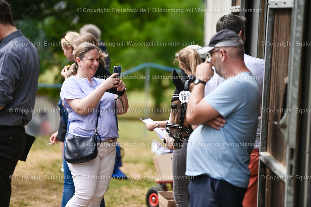 20230716_10-1_Reiter-WB Schritt - Trab - Galopp_0240 | equistock