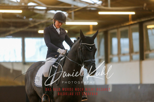 IMG_7799 | Turniersportfotografie; Pferdefotografie; Dressurfotografie