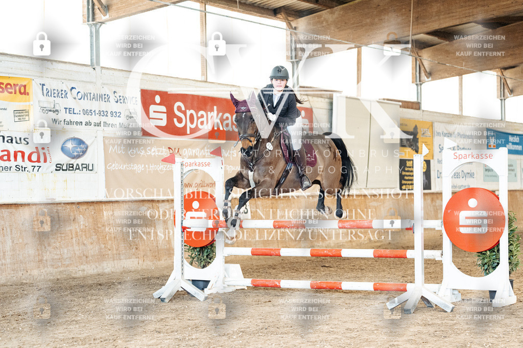 CK905150 | Turnierfotografie Pferdefotografie Trier Rheinland-Pfalz Pferdesport Reitsport Tierfotografie Sportfotografie Pferdevideo Pferdevideografie Equestrianvideography equestrianphotography  - Realisiert mit Pictrs.com