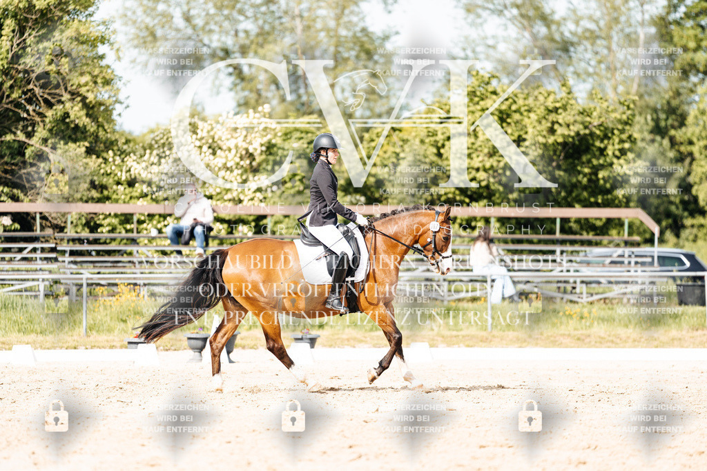 CK900523 | Turnierfotografie Pferdefotografie Trier Rheinland-Pfalz Pferdesport Reitsport Tierfotografie Sportfotografie Pferdevideo Pferdevideografie Equestrianvideography equestrianphotography  - Realisiert mit Pictrs.com