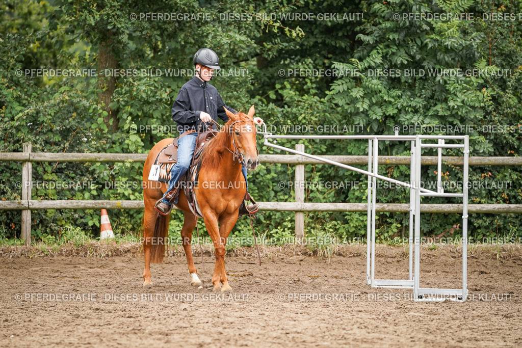 DSC03475 | Pferdegrafie