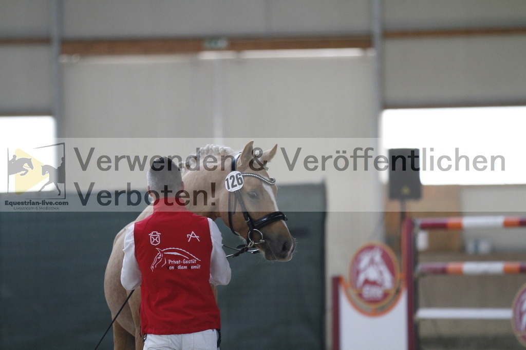 _MG_0034 | equestrian-live-com