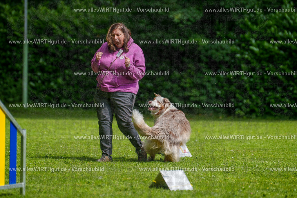 @allesWIRTHgut_Tierfotografie - www.allesWIRTHgut.de - 7R503297 | Professionelle Tierfotografie in Mönchengladbach von Daniel Wirth (allesWIRTHgut). Liebevolle & natürliche Bilder von Hunden & Katzen für unvergessliche Erinnerungen.