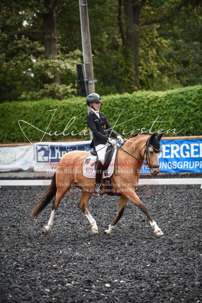 DSC_4409 | Pferde- und Turnierfotografie in Westsachsen. Pferdeportraits, Auftragszeichnungen und intuitive Kunst.