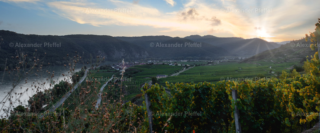 foto_c_pfeffel-partner-0037-R51_5100-Pano-Bearbeitet | alexander-pfeffel - Realisiert mit Pictrs.com