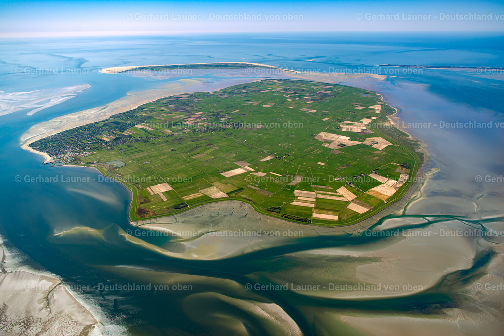 3801708 | Föhr, Nationalpark Schleswig-Holsteinisches Wattenmeer