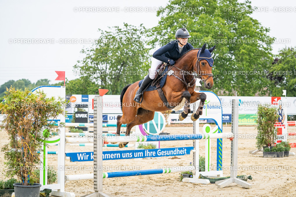 DSC09972 | Pferdegrafie