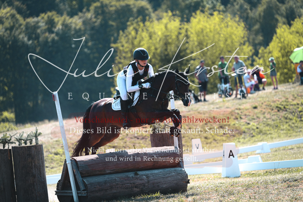 DSC_8284-2 | Pferde- und Turnierfotografie in Westsachsen. Pferdeportraits, Auftragszeichnungen und intuitive Kunst.