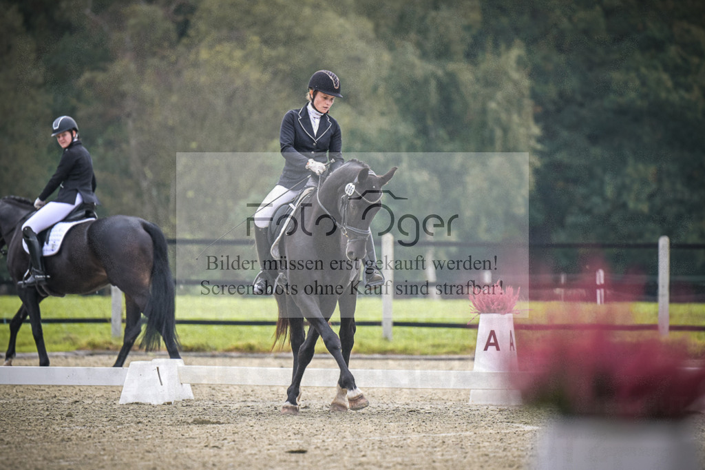 DOS_B355 | Entdecke hochwertige Reitturnierfotos von Foto Oger. Professionell, emotional und authentisch – jetzt Lieblingsmomente im Shop bestellen.Deutschlandweite Turnierfotografie. - Realisiert mit Pictrs.com