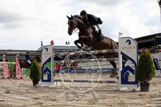 2B4A3663 | pixelfaenger - Realisiert mit Pictrs.com