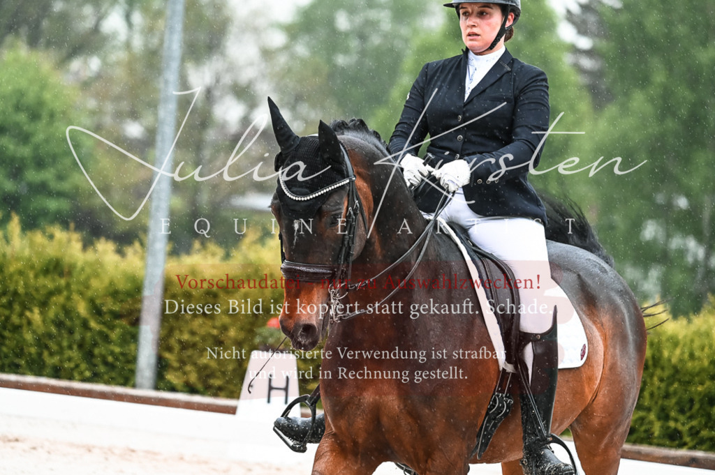 DSC_4542 | Pferde- und Turnierfotografie in Westsachsen. Pferdeportraits, Auftragszeichnungen und intuitive Kunst.