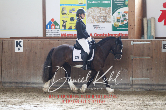 DKP44286 | Turniersportfotografie; Pferdefotografie; Dressurfotografie