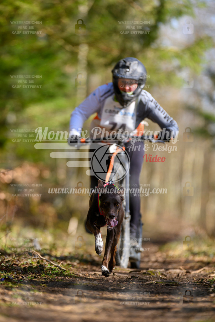 MompixPhotography_ReiatRennen2024_DS1-15 | PayLife