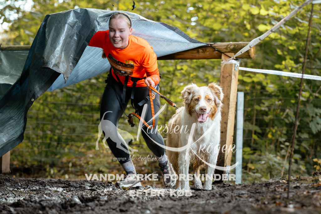 1415DZ6_1371Z6 | kk-dogfotos