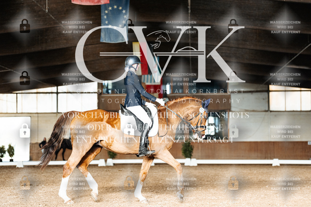 CK903254 | Turnierfotografie Pferdefotografie Trier Rheinland-Pfalz Pferdesport Reitsport Tierfotografie Sportfotografie Pferdevideo Pferdevideografie Equestrianvideography equestrianphotography  - Realisiert mit Pictrs.com