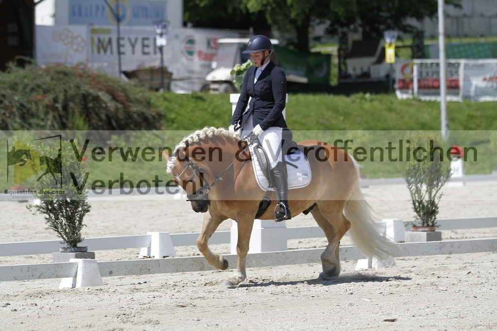 _MG_5278 | equestrian-live-com