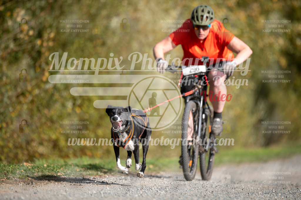 TSB_2023_E2_Bike-28 | PayLife