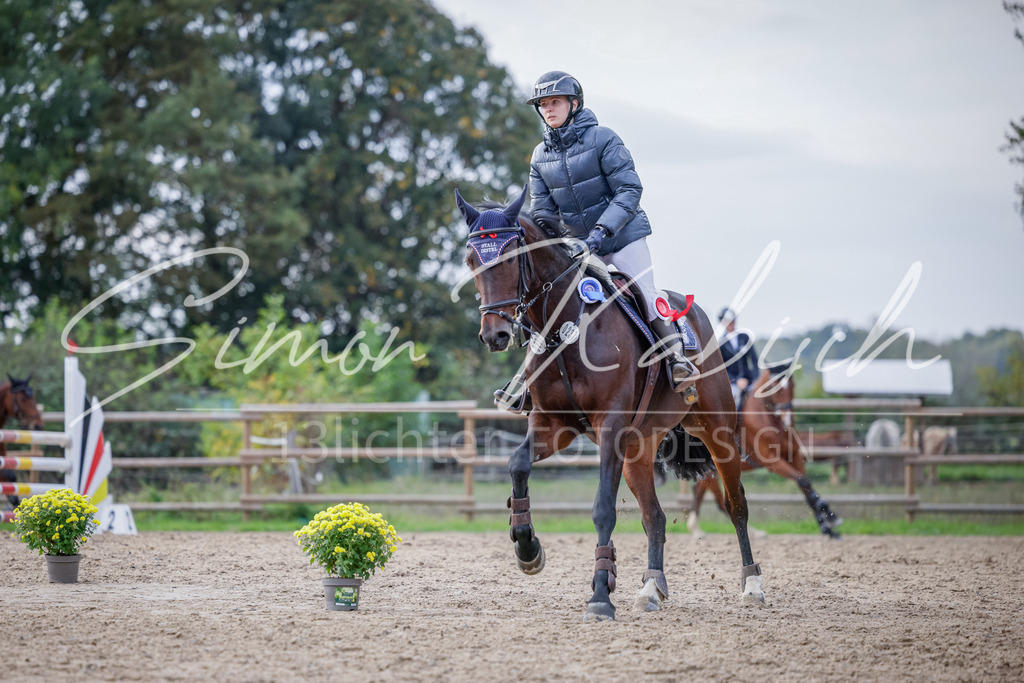 20251012-_3LI5442 | Tierfotografie Pferde, Hunde, Katzen, Haustiere.
Turnierfotografie Reitturniere, Reiten, Springreiten, Dressur in Hanau, dem Main-Kinzig-Kreis und dem Rhein-Main- Gebiet um Frankfurt