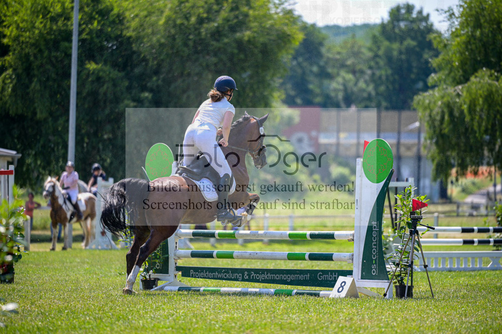 Reitturnier Voxtrup | Entdecke hochwertige Reitturnierfotos von Foto Oger. Professionell, emotional und authentisch – jetzt Lieblingsmomente im Shop bestellen.Deutschlandweite Turnierfotografie. - Realisiert mit Pictrs.com