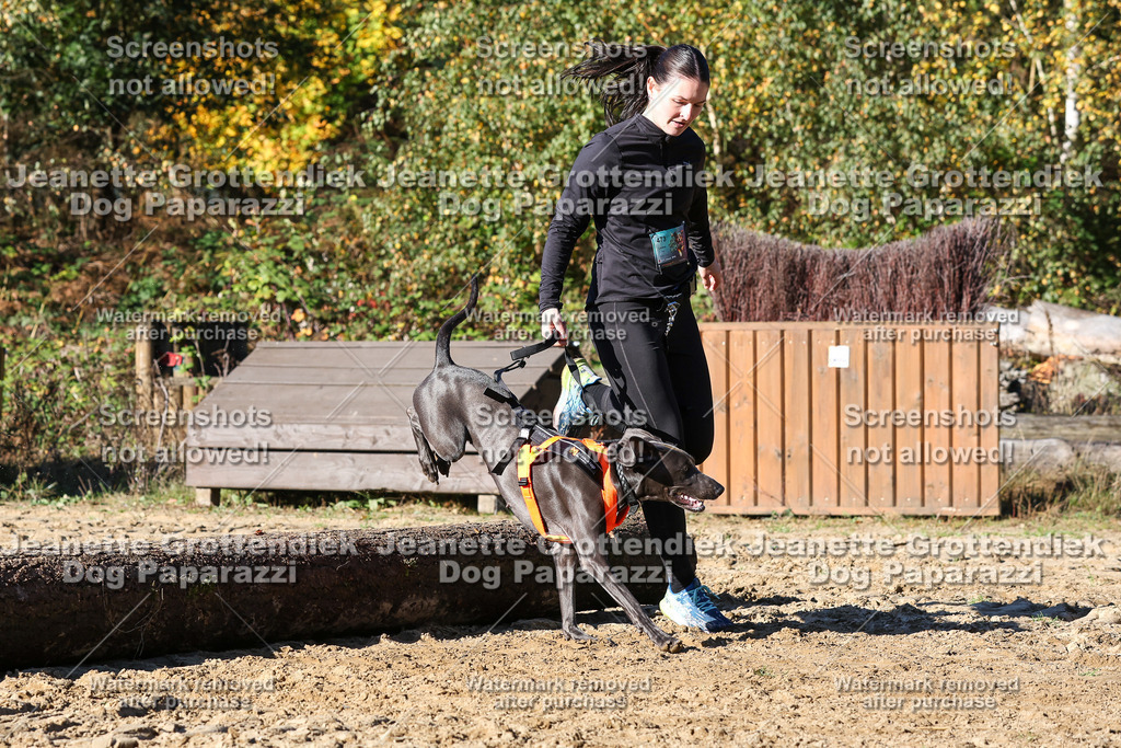 Dog Paparazzi - Strongdog 10-25-2088 | Dog Paparazzi Jeanette Grottendiek Fotografie & Videografie - Realisiert mit Pictrs.com