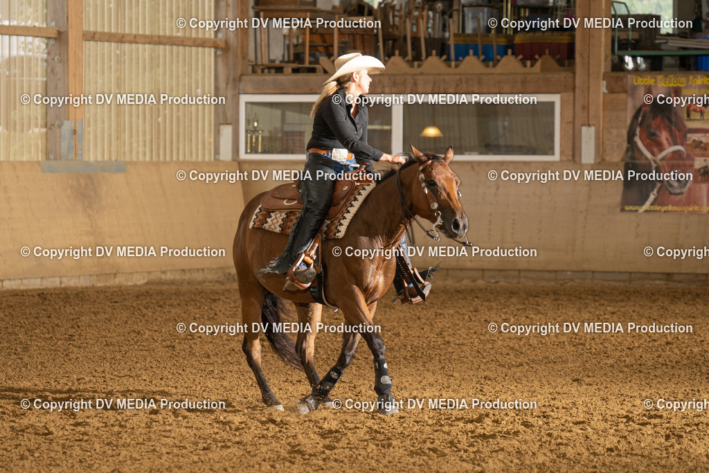 LAU00724 | dv-media-shop - Realisiert mit Pictrs.com